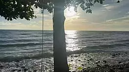 real homemade massage turns into beach flashing wife lick fest 😏