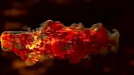 young guy why you fuckin my skinny ass so rough hard makin me scream