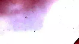 My tight petite tits bounce hard in creampie pounding