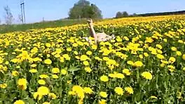 Whoa, stranger girl's casual blowjob ends with hot cum in mouth!