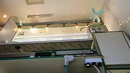 Super slim 18-year-old teases in pear thong braless outdoors