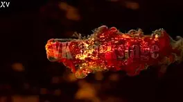 Piss DAP Drink Triple Cock DP Kami Yammy Uncensored Backstage