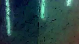 hey, check this jean overalls upskirt while shopping outdoors