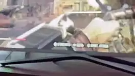 curious babe caught masturbating gets her tight pussy filled with cum