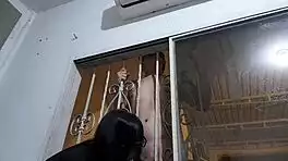 dad steps out but she sneaks lover in for wild window fuck